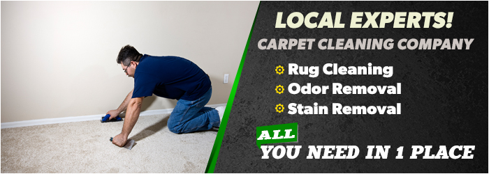 Carpet Cleaning Services