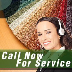 Contact Carpet Cleaning in California
